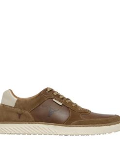 Steadypace.shop0149ae1c23 1