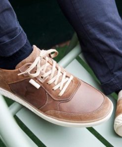 Steadypace.shop0149ae1c23 3