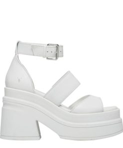 Steadypace.shop08ca41427f 1