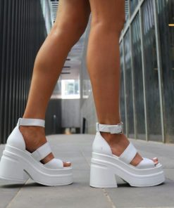 Steadypace.shop08ca41427f 2