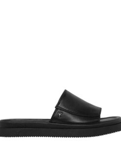 Steadypace.shop10cd36d5ba 1