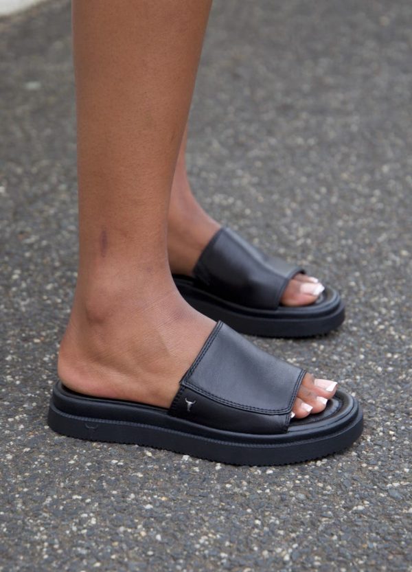 Steadypace.shop10cd36d5ba 3