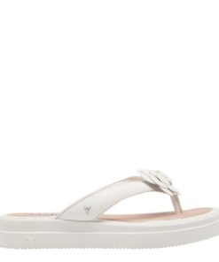 Steadypace.shop1380b38b4d 1