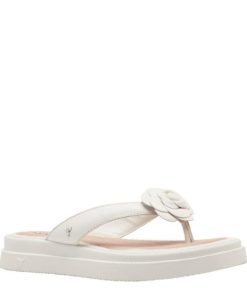 Steadypace.shop1380b38b4d 2