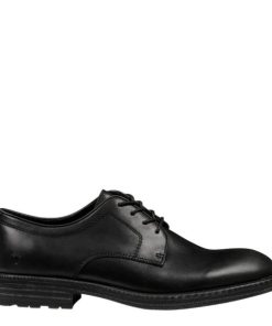 Steadypace.shop171a3c385f 1