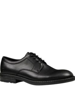 Steadypace.shop171a3c385f 2