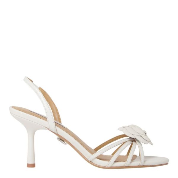 Steadypace.shop194a86a2a4 1