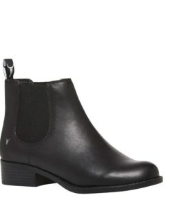 Steadypace.shop1b39f9748b 2