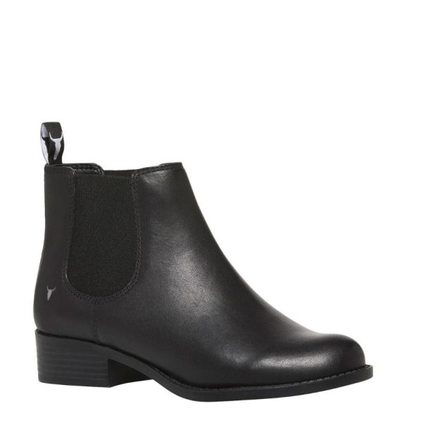 Steadypace.shop1b39f9748b 2