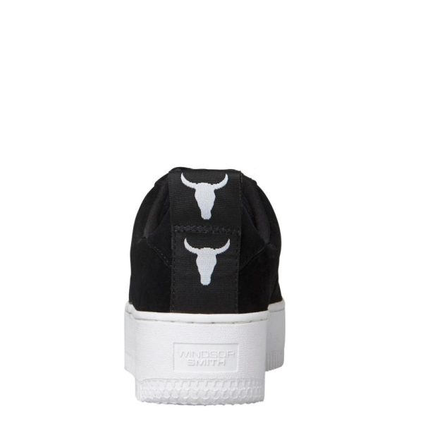 Steadypace.shop1e43d98a1e 2