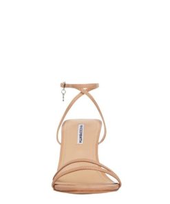 Steadypace.shop1ee1b13f77 3