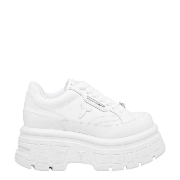 Steadypace.shop203efe0395 1