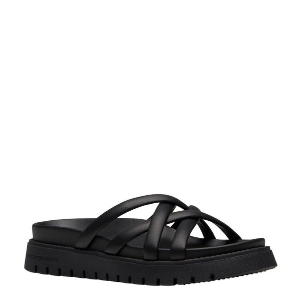 Steadypace.shop24dc349fca 2