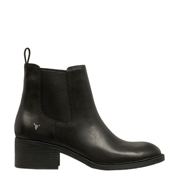 Steadypace.shop294ec02697 1