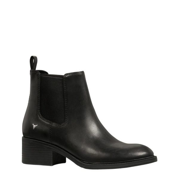 Steadypace.shop294ec02697 2