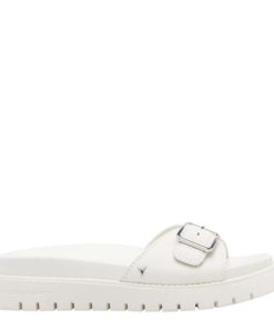 Steadypace.shop2a87cc5482 1