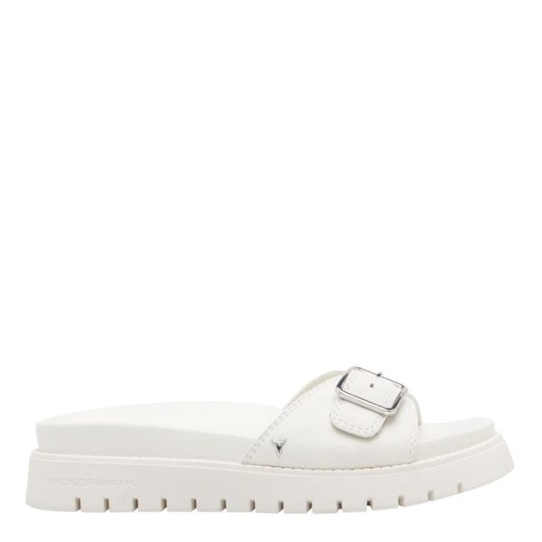 Steadypace.shop2a87cc5482 1