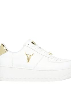 Steadypace.shop3f438e6c1d 1