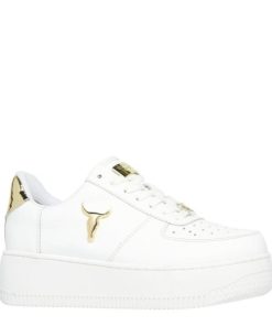 Steadypace.shop3f438e6c1d 3