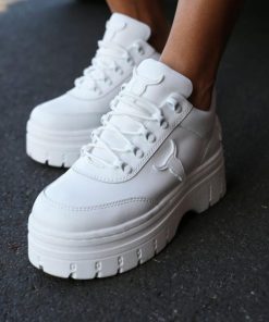 Steadypace.shop432adde581 5