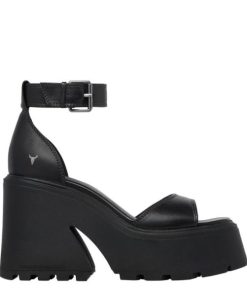 Steadypace.shop4c75c52771 1