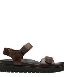 Steadypace.shop4cbdacc107 1