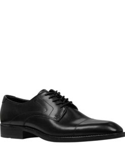 Steadypace.shop4f4abdf8e7 2