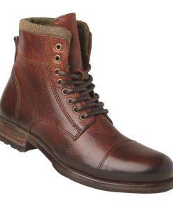 Steadypace.shop4f95c84b3d 2