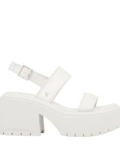 Steadypace.shop4fa5f940a1 1