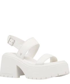 Steadypace.shop4fa5f940a1 2