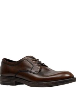 Steadypace.shop553ea47564 2