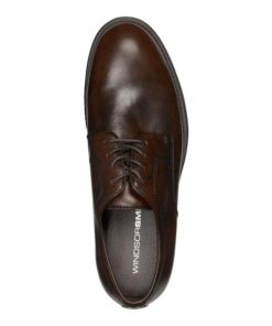 Steadypace.shop553ea47564 3