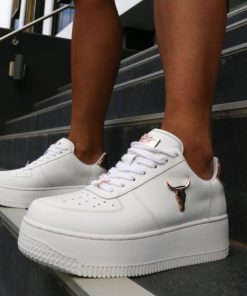 Steadypace.shop56a76f604c 1