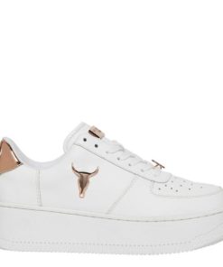 Steadypace.shop56a76f604c 2