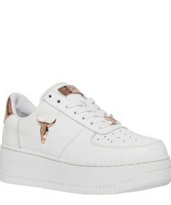 Steadypace.shop56a76f604c 3