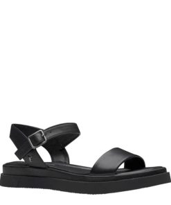 Steadypace.shop59fe43f0e1 2