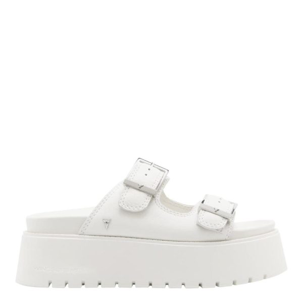 Steadypace.shop5c9107607b 1