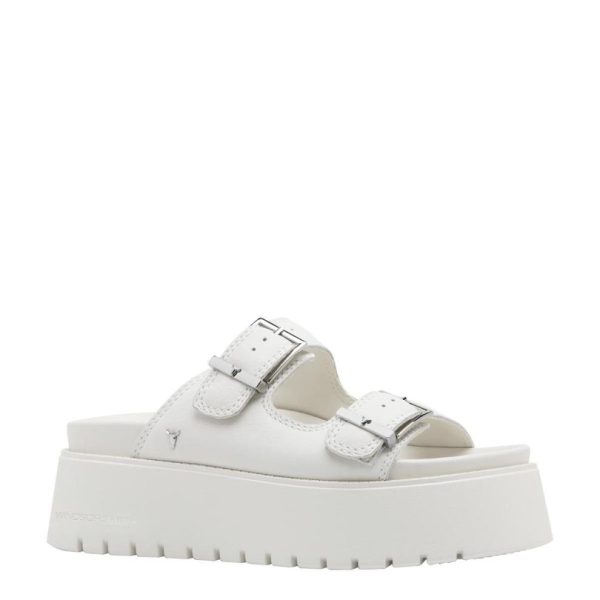 Steadypace.shop5c9107607b 2