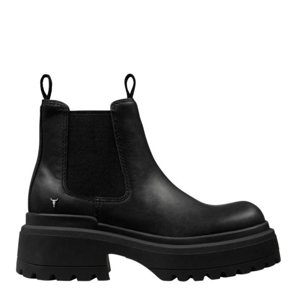 Steadypace.shop5f290d1d42 1