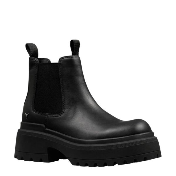 Steadypace.shop5f290d1d42 2