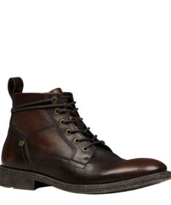 Steadypace.shop5faff734b8 2