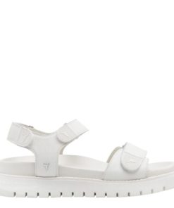 Steadypace.shop618298849b 1