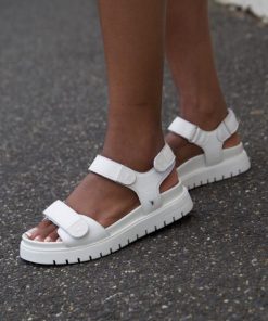 Steadypace.shop618298849b 4