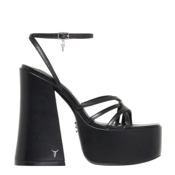 Steadypace.shop62ef82386e 1