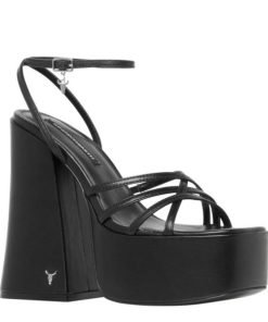 Steadypace.shop62ef82386e 2