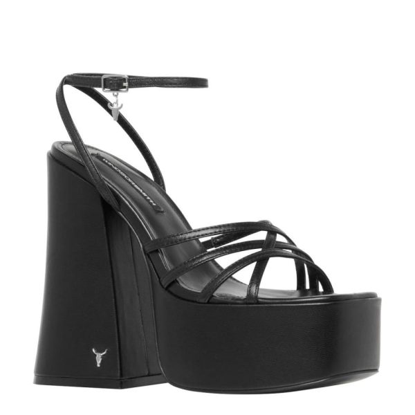 Steadypace.shop62ef82386e 2