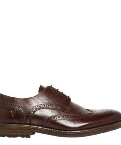 Steadypace.shop65239aa6d3 1