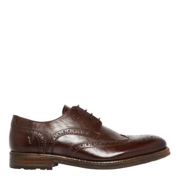 Steadypace.shop65239aa6d3 1