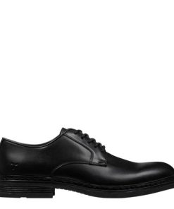 Steadypace.shop653fe9a574 1