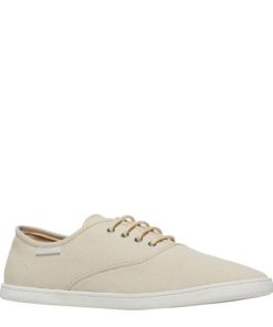 Steadypace.shop6584589646 2